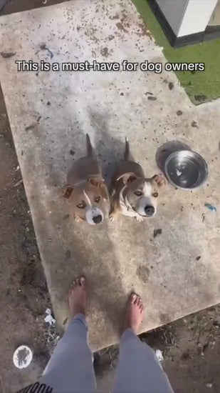 “¿Tu perro se queda sin agua cuando salís a pasear? 🐾
¡Eso se acabó! Con la Botella AriasCreative 3 en 1, tendrás agua, comida y bolsas higiénicas siempre a mano, en un solo accesorio compacto.
💧 Su depósito de 300 mililitros mantiene el agua limpia y fresca en todo momento.
🍖 Incluye un práctico compartimento para snacks o comida, perfecto para premiarlo mientras camina.
♻️ Y además, cuenta con un dispensador de bolsas de basura integrado, para mantener las calles limpias y cuidar el entorno.
